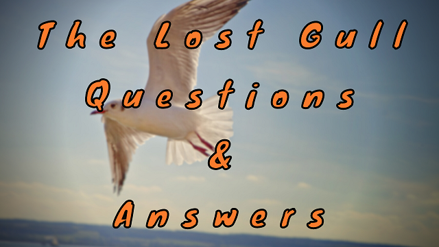 The Lost Gull Questions & Answers