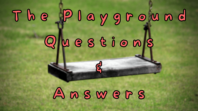The Playground Questions & Answers
