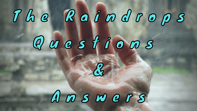 The Raindrops Poem Questions & Answers