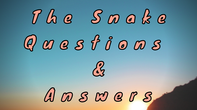 The Snake Questions & Answers