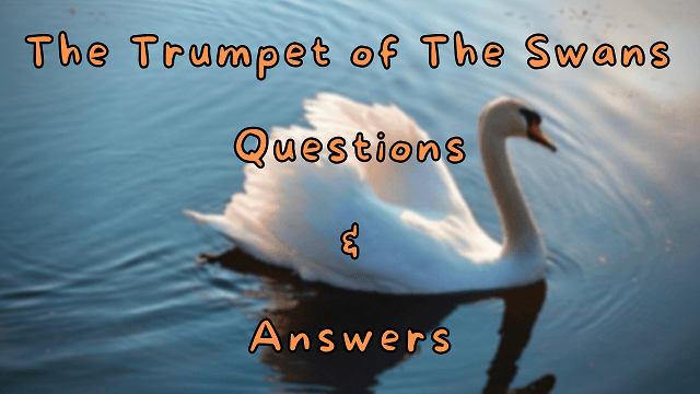The Trumpet of The Swans Questions & Answers