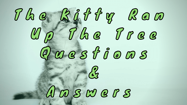 The kitty Ran Up The Tree Questions & Answers