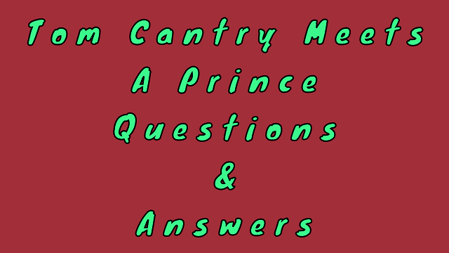 Tom Cantry Meets a Prince Questions & Answers