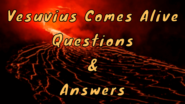 Vesuvius Comes Alive Questions & Answers