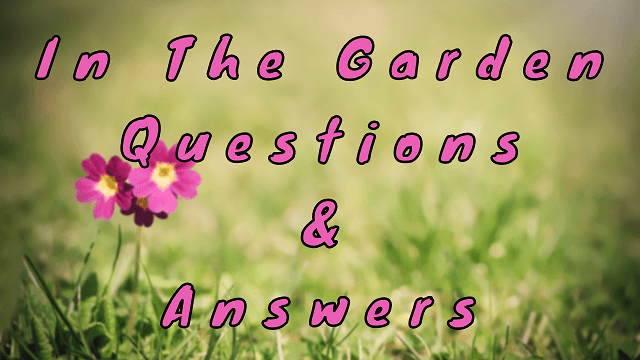 In the Garden Questions & Answers