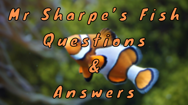 Mr Sharpe’s Fish Questions & Answers