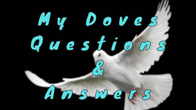 My Doves Questions & Answers