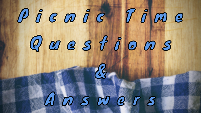Picnic Time Questions & Answers