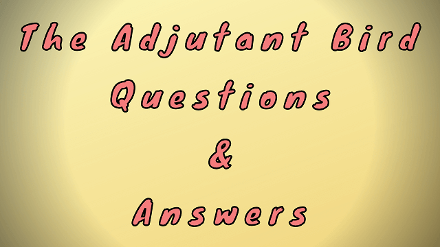The Adjutant Bird Questions & Answers