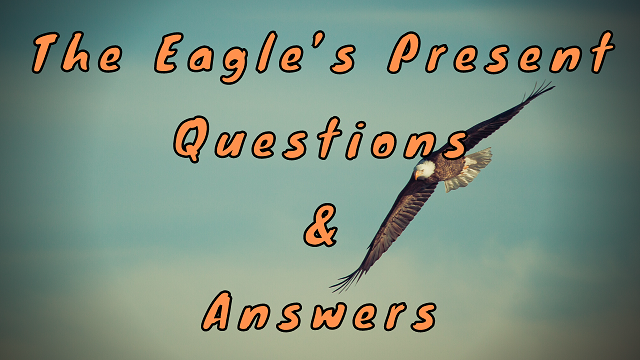 The Eagle’s Present Questions & Answers