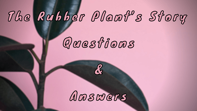 The Rubber Plant’s Story Questions & Answers