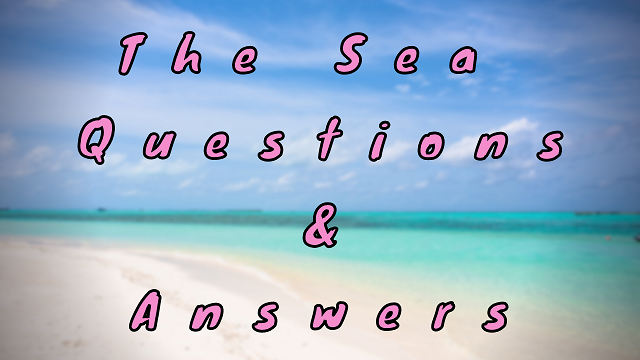 The Sea Questions & Answers