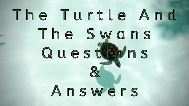 The Turtle and the Swans Questions & Answers