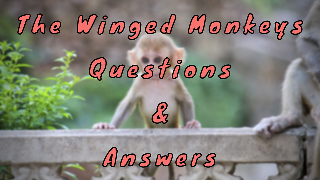 The Winged Monkeys Questions & Answers