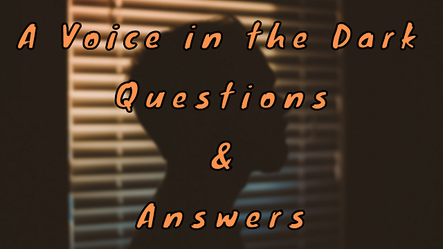 A Voice in the Dark Questions & Answers