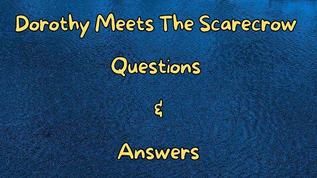 Dorothy Meets the Scarecrow Questions & Answers