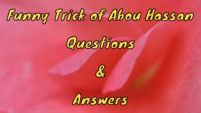 Funny Trick of Abou Hassan Questions & Answers