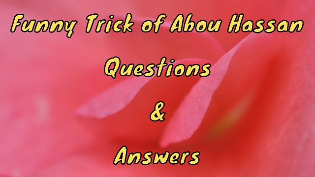 Funny Trick of Abou Hassan Questions & Answers - WittyChimp Funny Trick of Abou Hassan Questions & Answers - WittyChimp