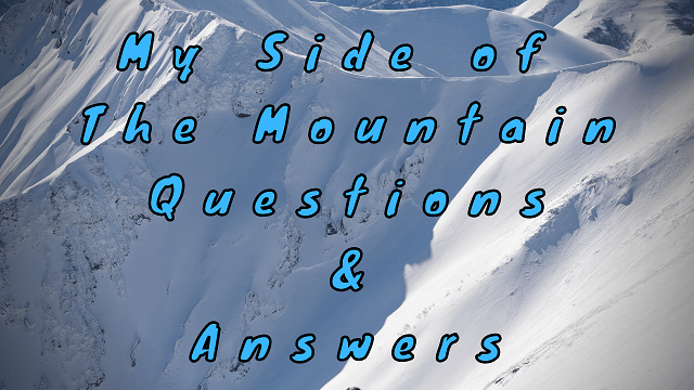 My Side of the Mountain Questions & Answers