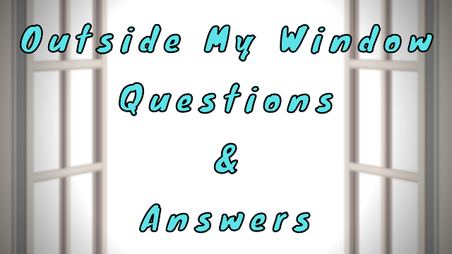 Outside My Window Questions & Answers