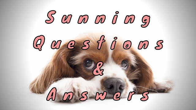 Sunning Questions & Answers
