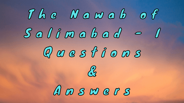 The Nawab of Salimabad - I Questions & Answers