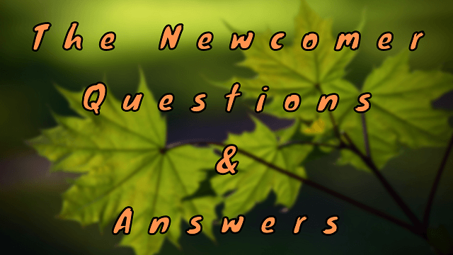 The Newcomer Questions & Answers