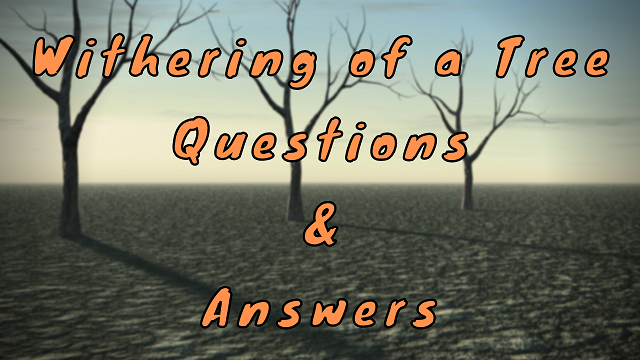 Withering of a Tree Questions & Answers