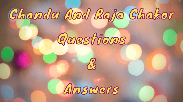 Chandu And Raja Chakor Questions & Answers