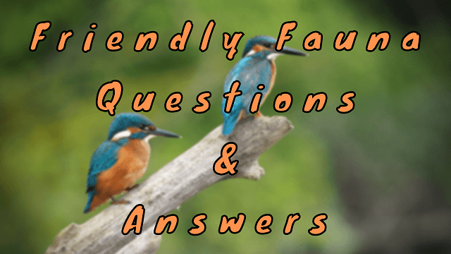 Friendly Fauna Questions & Answers - WittyChimp