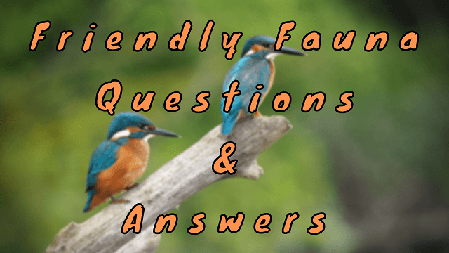 Friendly Fauna Questions & Answers - WittyChimp Friendly Fauna Questions & Answers - WittyChimp