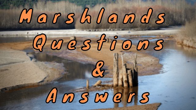 Marshlands Questions & Answers