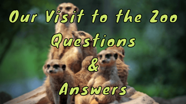 Our Visit to the Zoo Questions & Answers