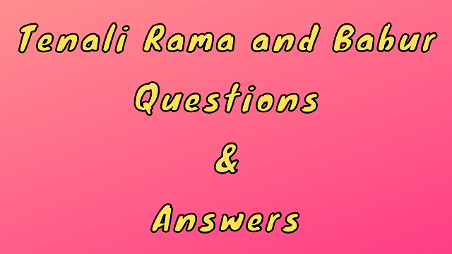Tenali Rama and Babur Questions & Answers