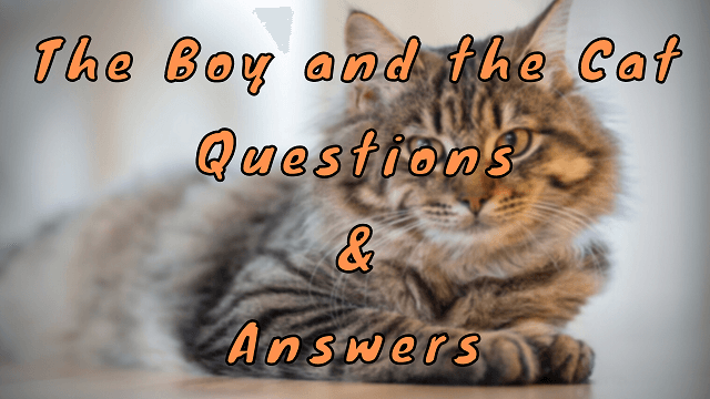 The Boy and the Cat Questions & Answers