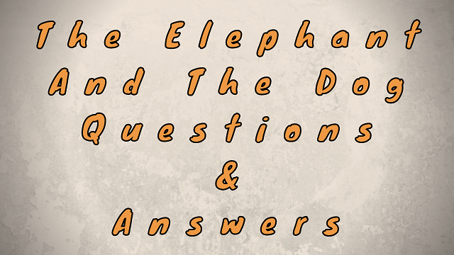 The Elephant and the Dog Questions & Answers