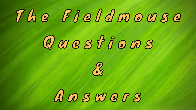 The Fieldmouse Questions & Answers
