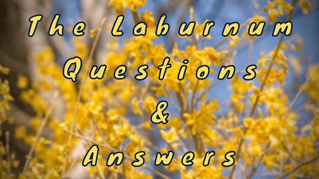 The Laburnum Questions & Answers