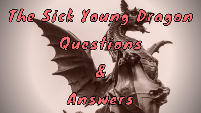 The Sick Young Dragon Questions & Answers