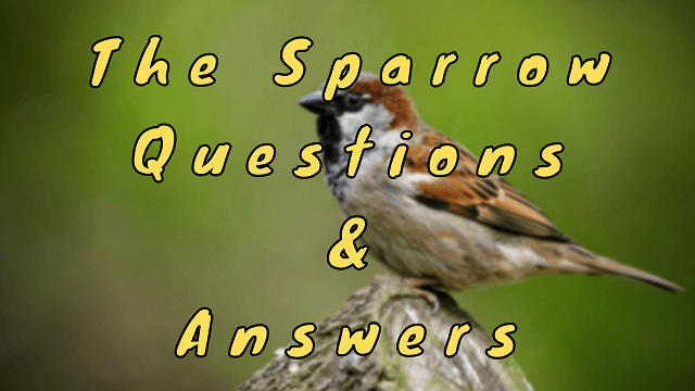 The Sparrow Questions & Answers