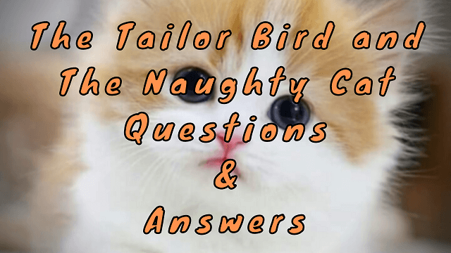 The Tailor Bird and the Naughty Cat Questions & Answers