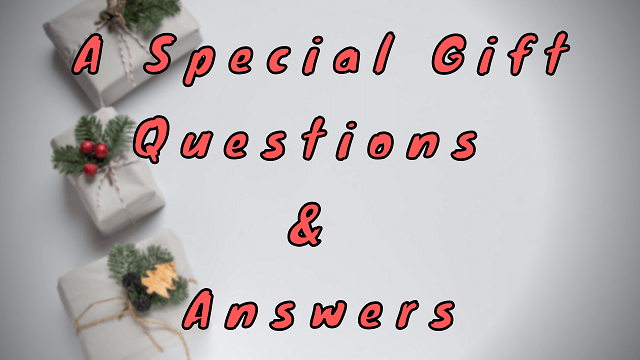 A Special Gift Questions & Answers
