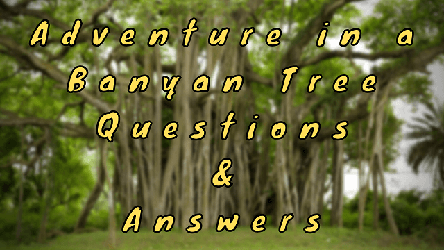 Adventure in a Banyan Tree Questions & Answers