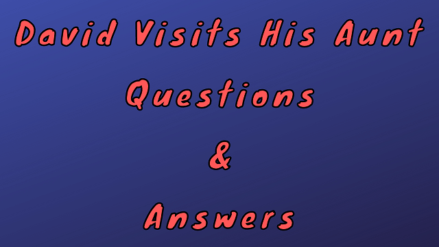 David Visits His Aunt Questions & Answers