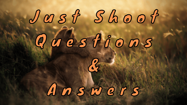 Just Shoot Questions & Answers
