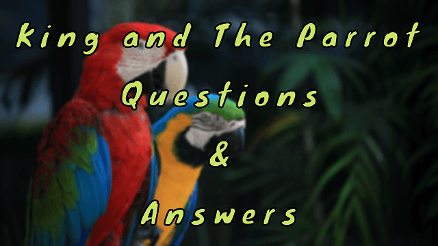 King and The Parrot Questions & Answers