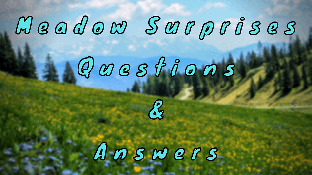 Meadow Surprises Questions & Answers