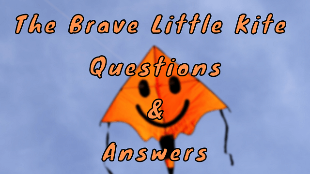 The Brave Little Kite Questions & Answers