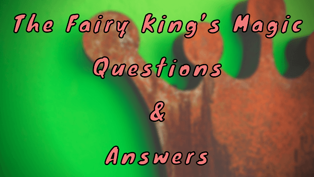 The Fairy King’s Magic Questions & Answers