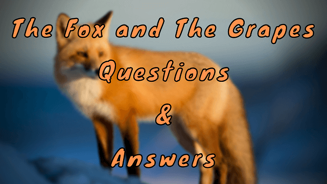 The Fox and The Grapes Questions & Answers